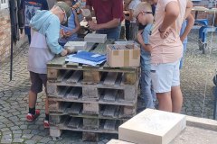 IMG_20250724_110231_1